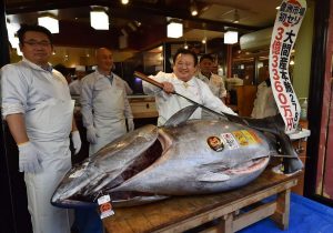 Japanese Sushi Tycoon Paid $3.1m For A Bluefin Tuna