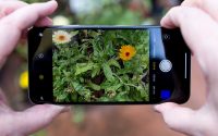 Take Perfect Photos With Your Phone